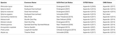 Identifying Priorities for <mark class="highlighted">Shark Conservation</mark> in the Bay of Bengal, Bangladesh